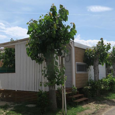 Camping Adriatico Hotel Martinsicuro Exterior photo