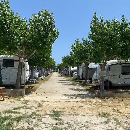 Camping Adriatico Hotel Martinsicuro Exterior photo